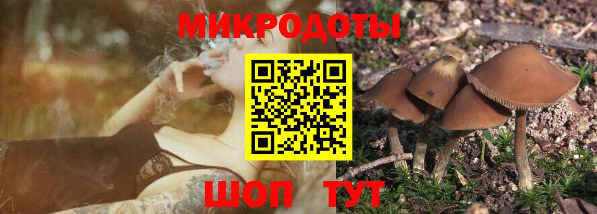 Псилоцибиновые грибы прущие грибы  Псилоцибиновые грибы GOLDEN TEACHER  Екатеринбург  Вход с VPN 